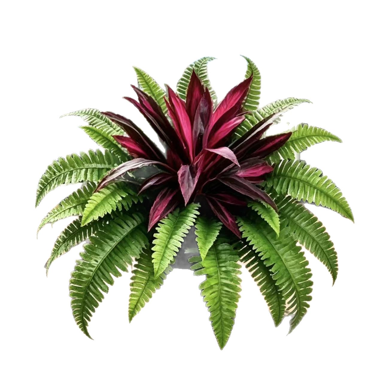 🌿 Fougère artificielle ultra-réaliste et dracaena rouge : une plante d'extérieur résistante aux UV ! ✨