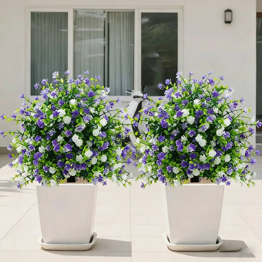 🌸La beauté éternelle du camélia, pour l'extérieur comme pour l'intérieur ! 🌿🌺