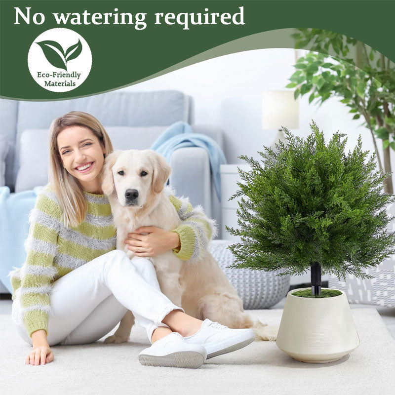 🌿Arbre d'ornement en cèdre synthétique – Décoration d'extérieur pour porches et jardins