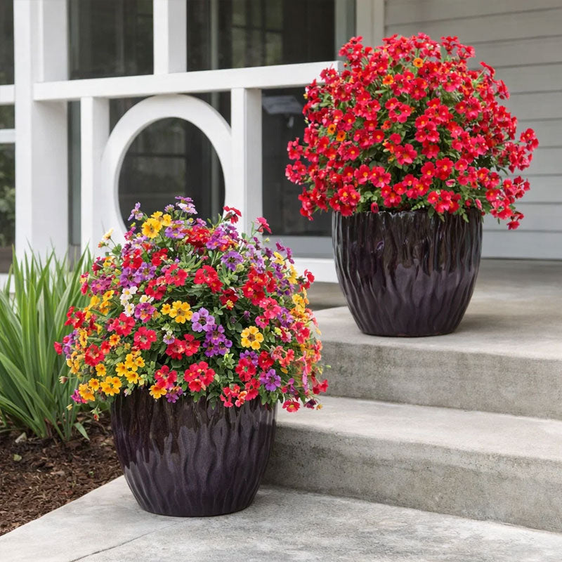 🌿Créez votre propre jardin secret en quelques secondes ! 💜✨