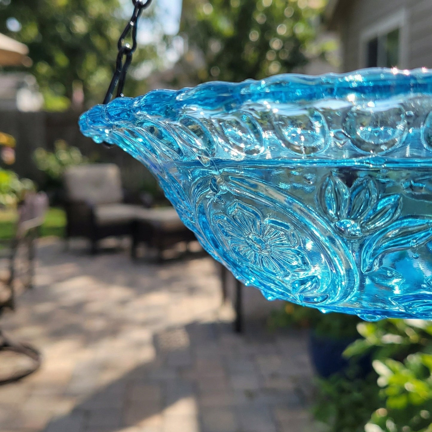 🐦Transformez votre jardin en paradis pour les oiseaux ! 🌿