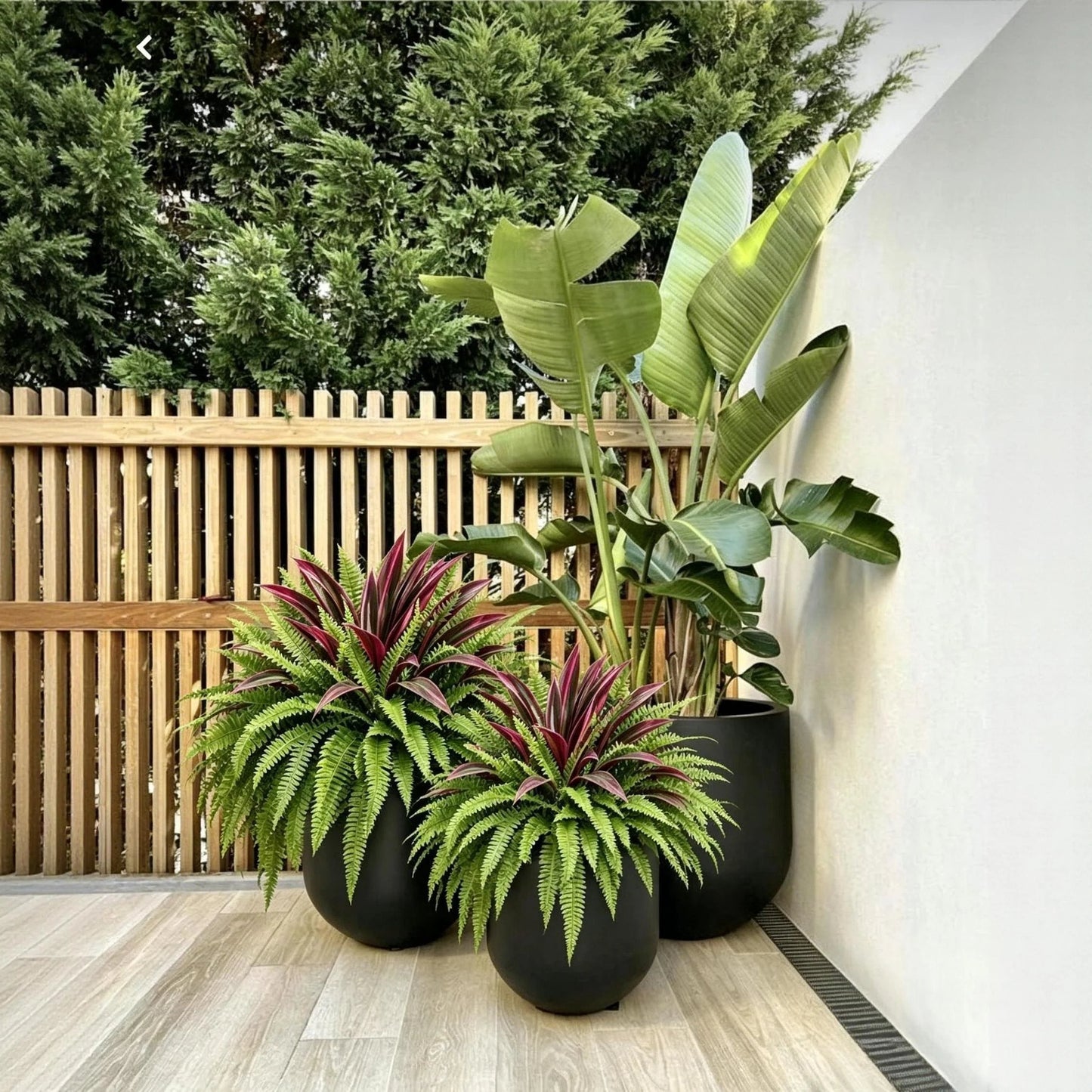 🌿 Fougère artificielle ultra-réaliste et dracaena rouge : une plante d'extérieur résistante aux UV ! ✨