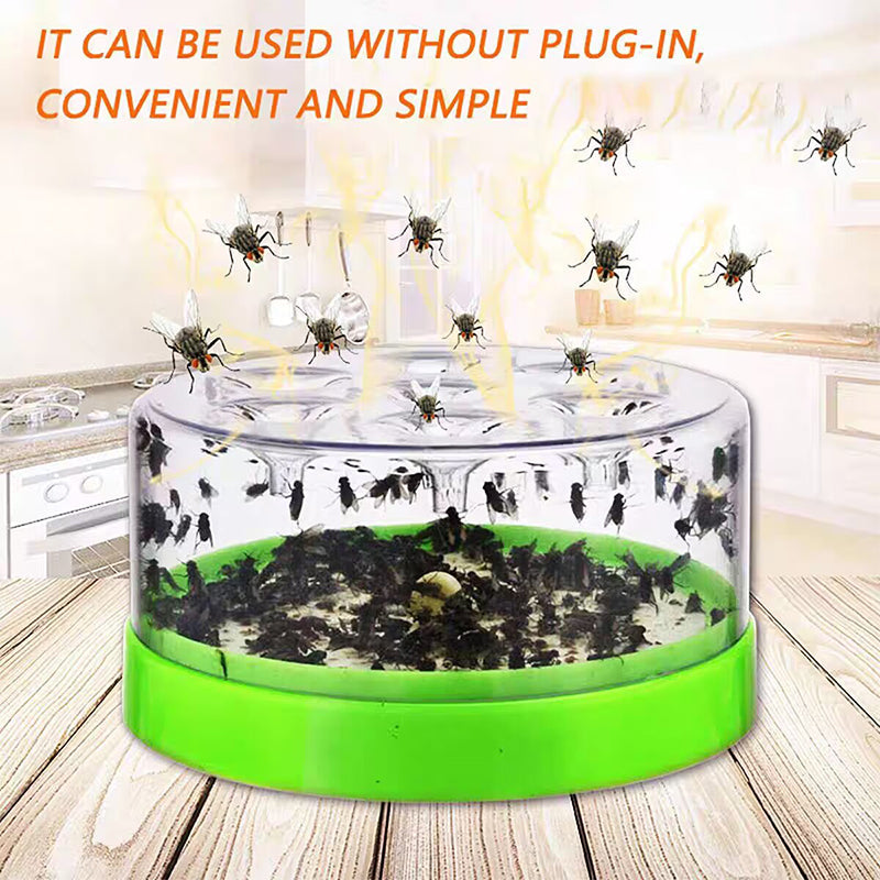 ✨ Piège à mouches écologique — Libérez votre maison des insectes indésirables ! 🛑