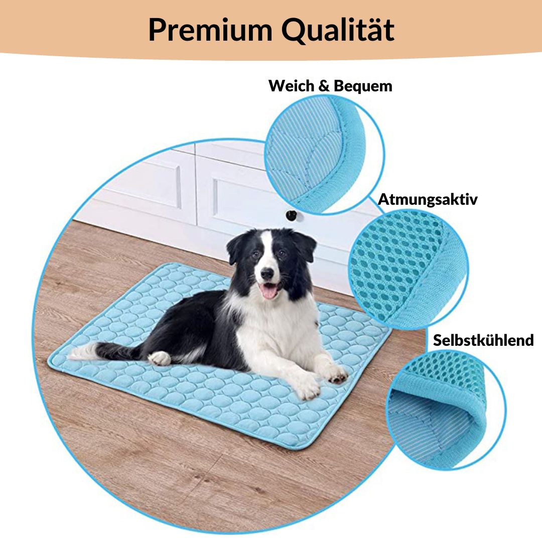 🐶 🐱Protégez votre animal de compagnie de la chaleur estivale ! 🧊