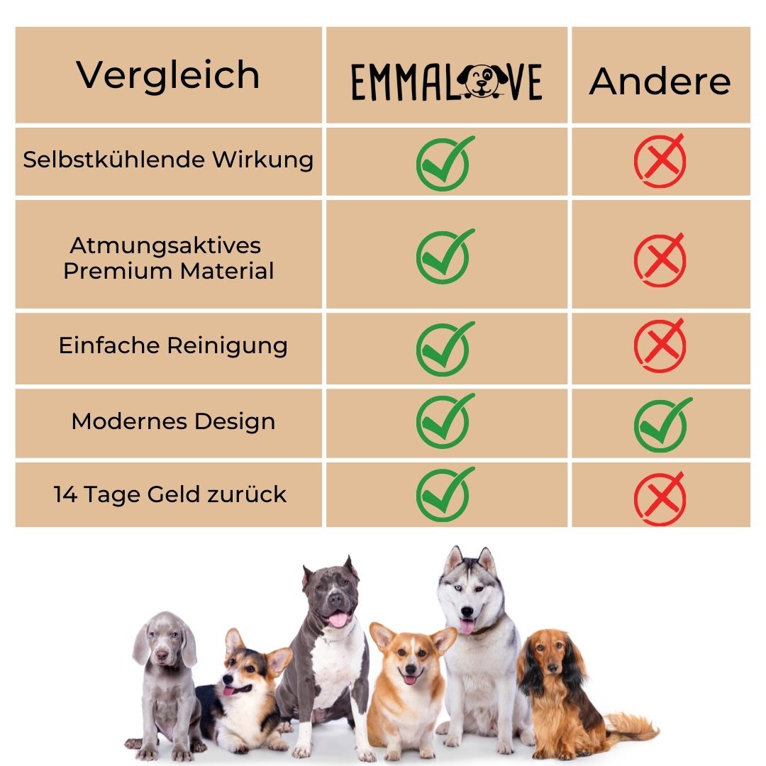🐶 🐱Protégez votre animal de compagnie de la chaleur estivale ! 🧊